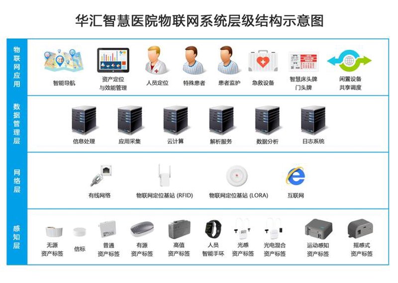 深圳软件开发：科技之树在创新雨露中茁壮成长